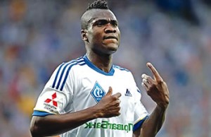 Brown Ideye
