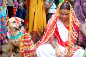 Dog Wedding: Indian Teenage Girl Marries Dog As Part Of Tribal Ritual