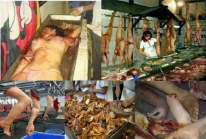 human beings meat