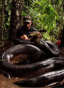 snake