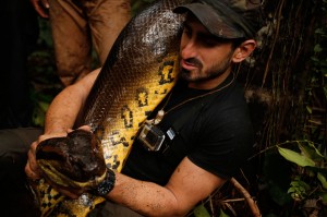 Paul Rosolie with snake on 'Eaten Alive' (Discovery) 
