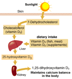 vitamin