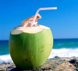 Coconut