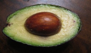 Avocada
