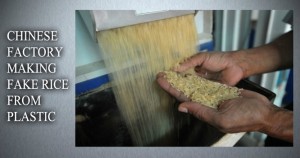 Plastic rice