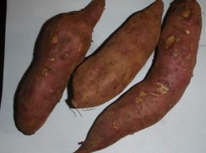 sweet potato