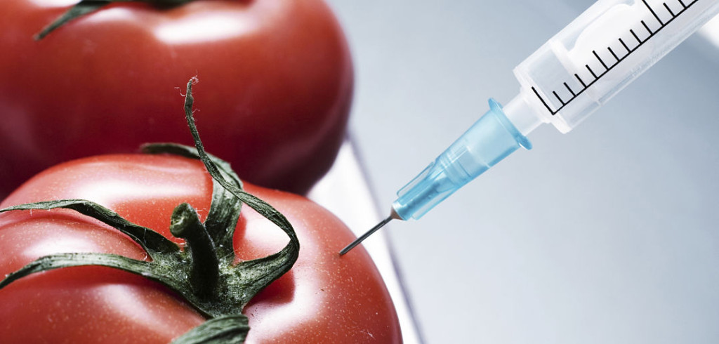injection of some substance into fresh red tomatoes