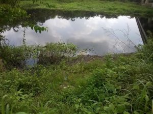 polluted-river-ilo