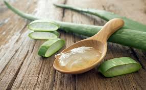 aloe-del