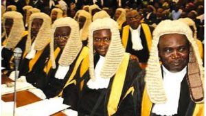 judges