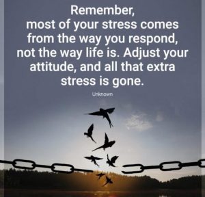 Nigerian Newspapers Headlines, Thursday, 4 December 2025